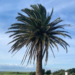 Meet your Posher, Gemma